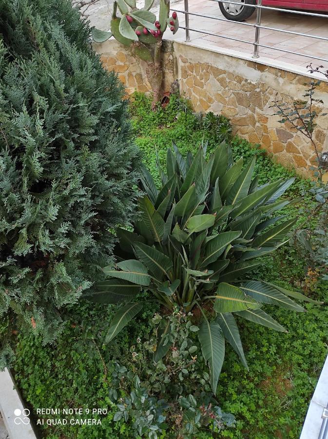 Glaros Beach Apartment Kato Daratso Exterior foto