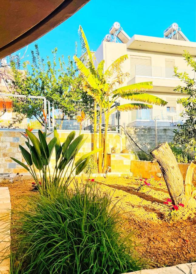 Glaros Beach Apartment Kato Daratso Exterior foto